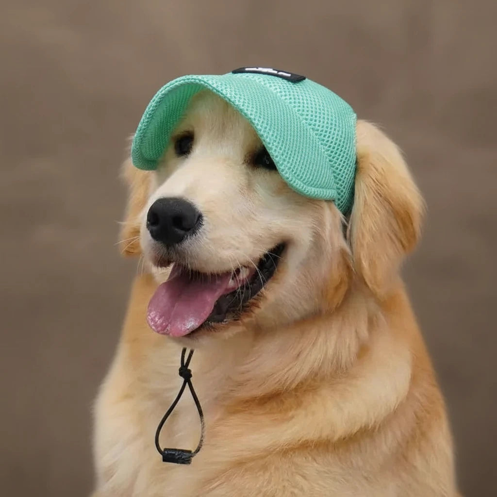 Casquette ajustable pour chien
