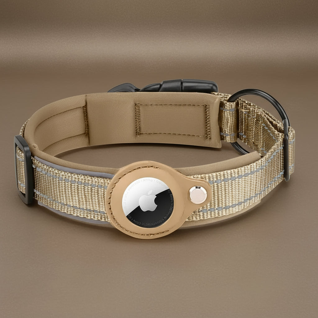 Collier de chien pour AirTag