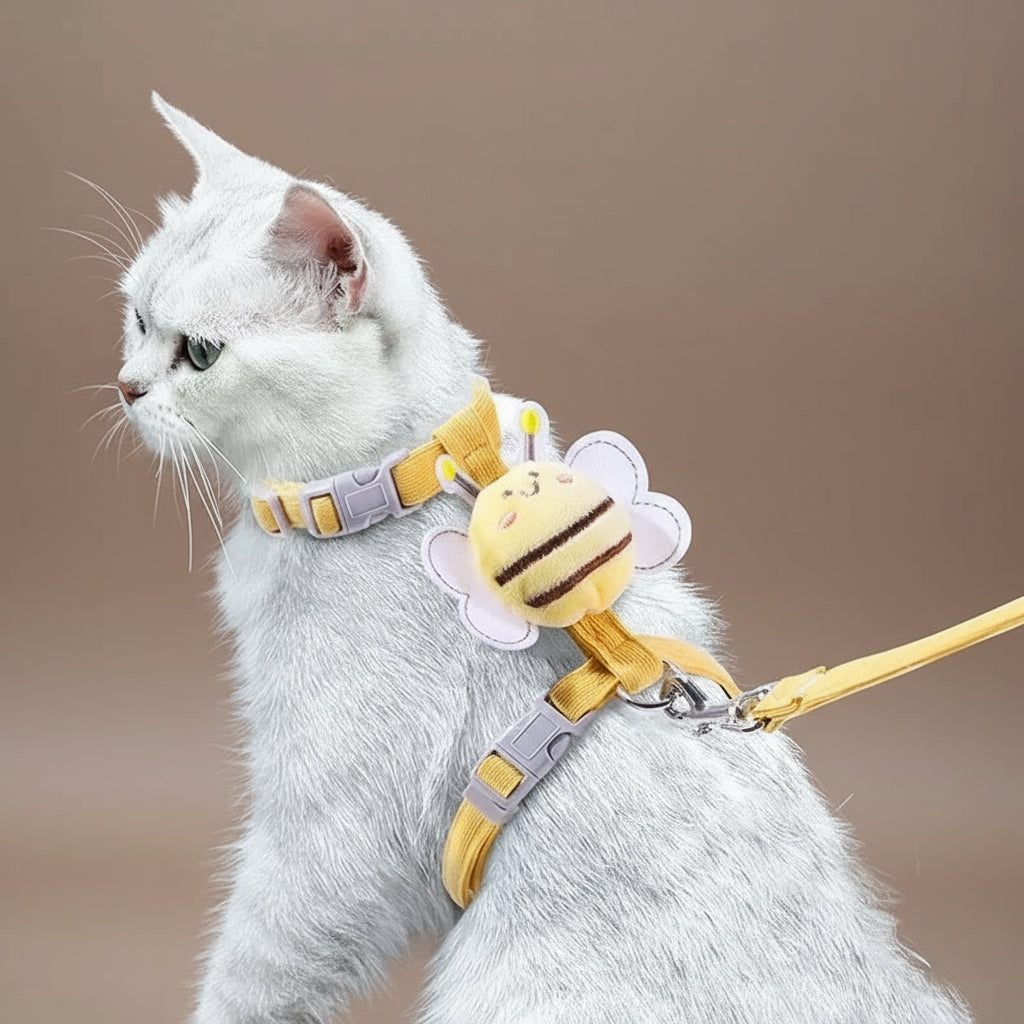 Harnais chat - Cartoon
