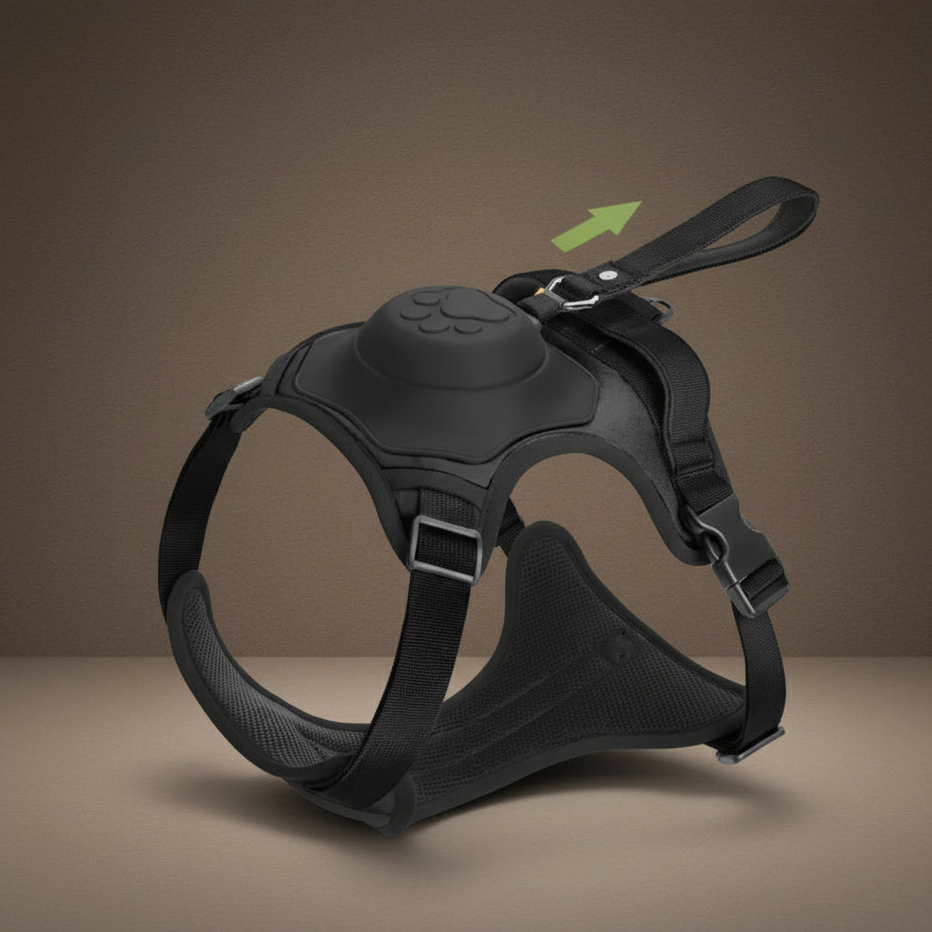 Harnais pour chien avec laisse rétractable