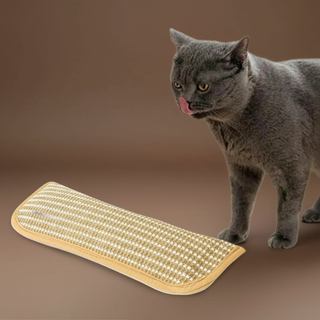 Jouet coussin à gratter pour chat