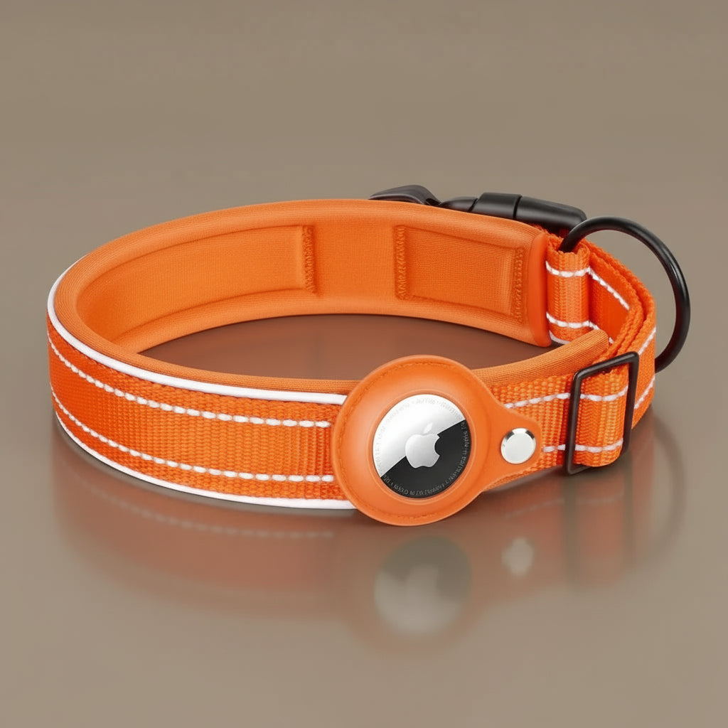 Collier de chien pour AirTag