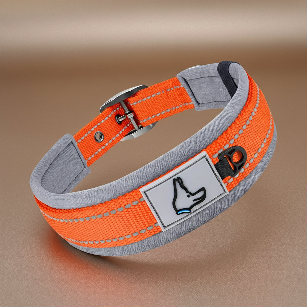Collier réfléchissant pour chien