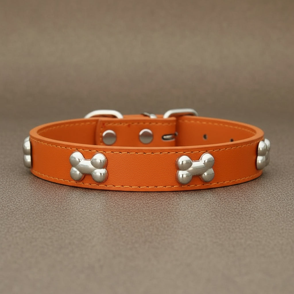 Colliers pour chien en cuir os