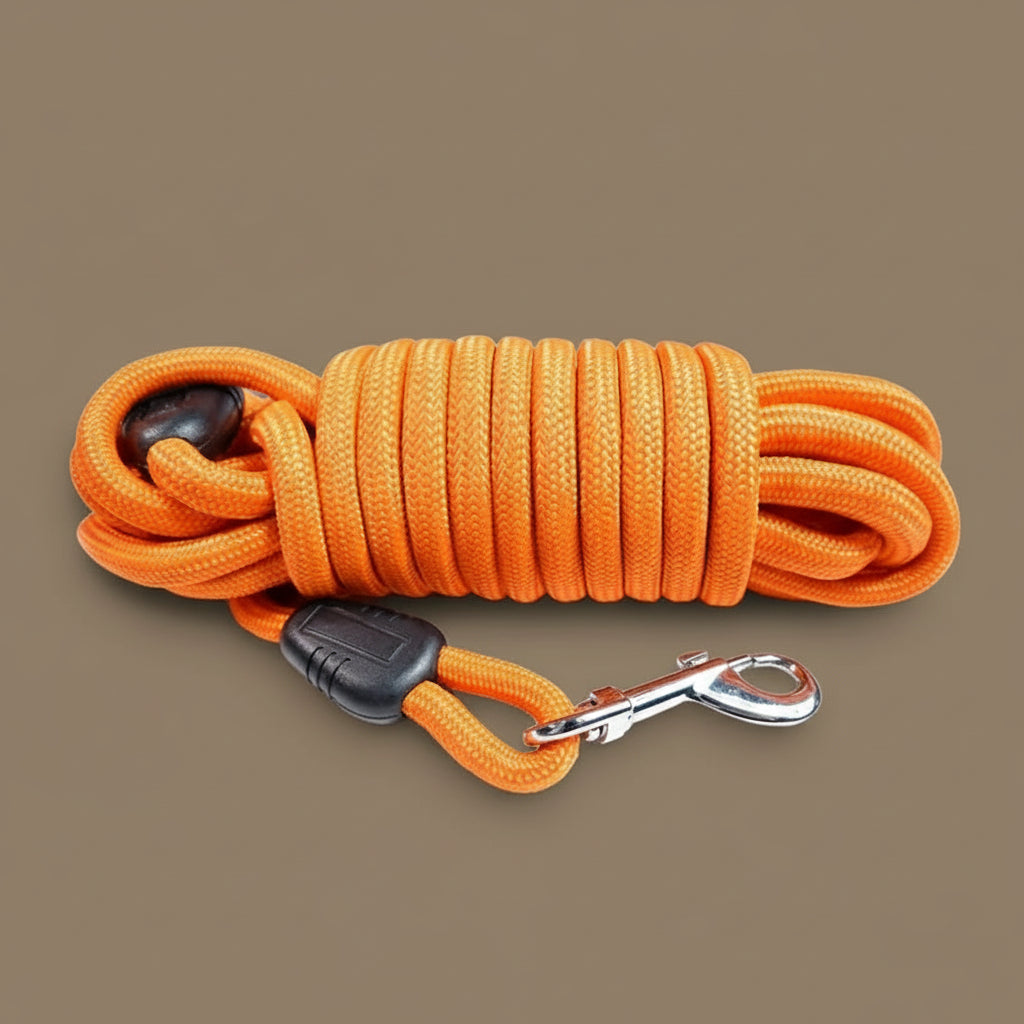Laisse d'entraînement pour chien