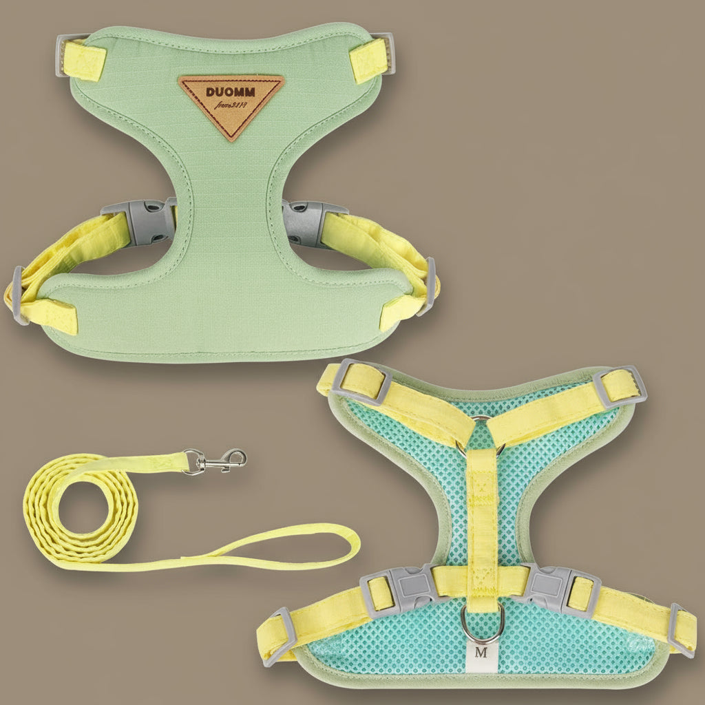 Harnais chat - Coocat