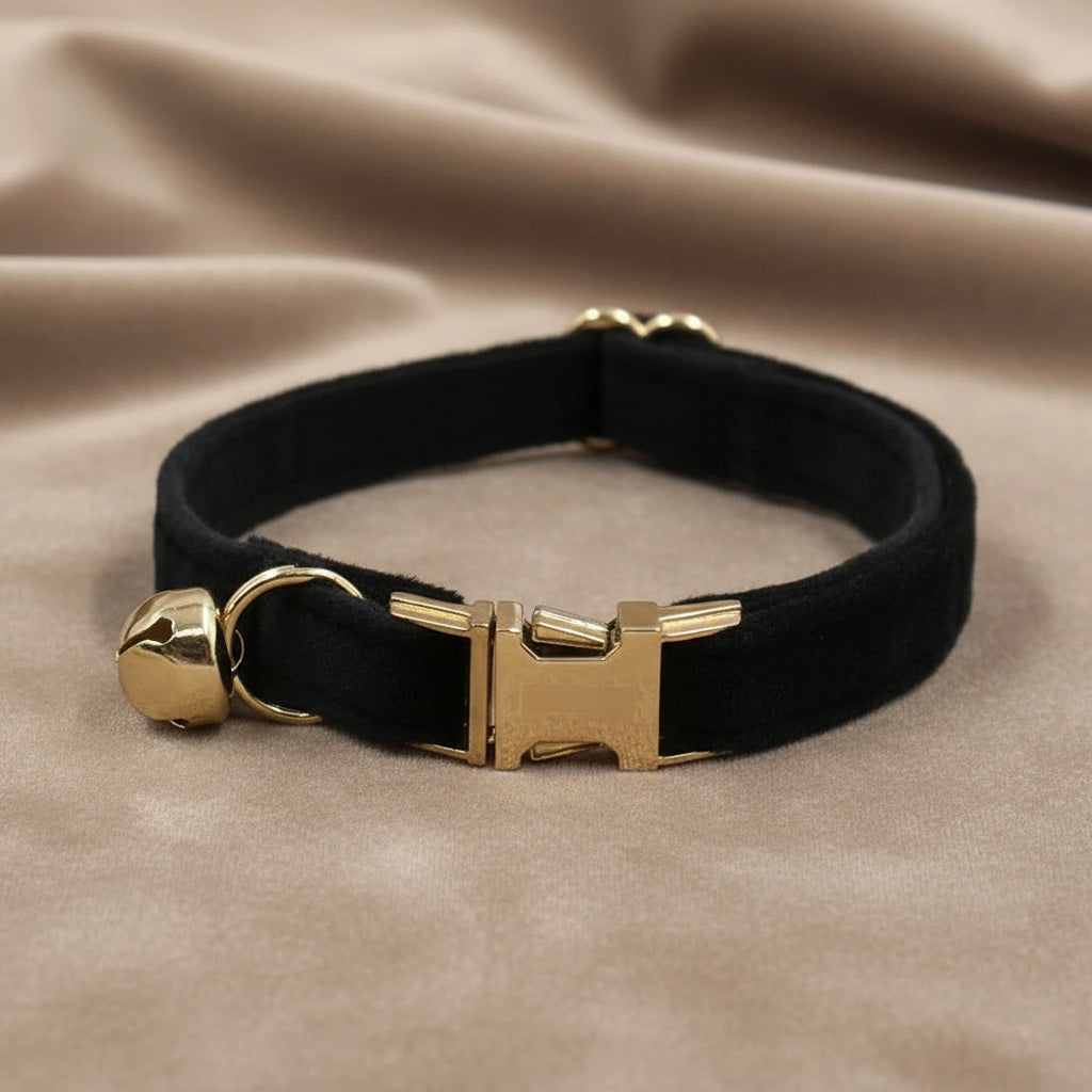 Collier chat - Pet Velvet