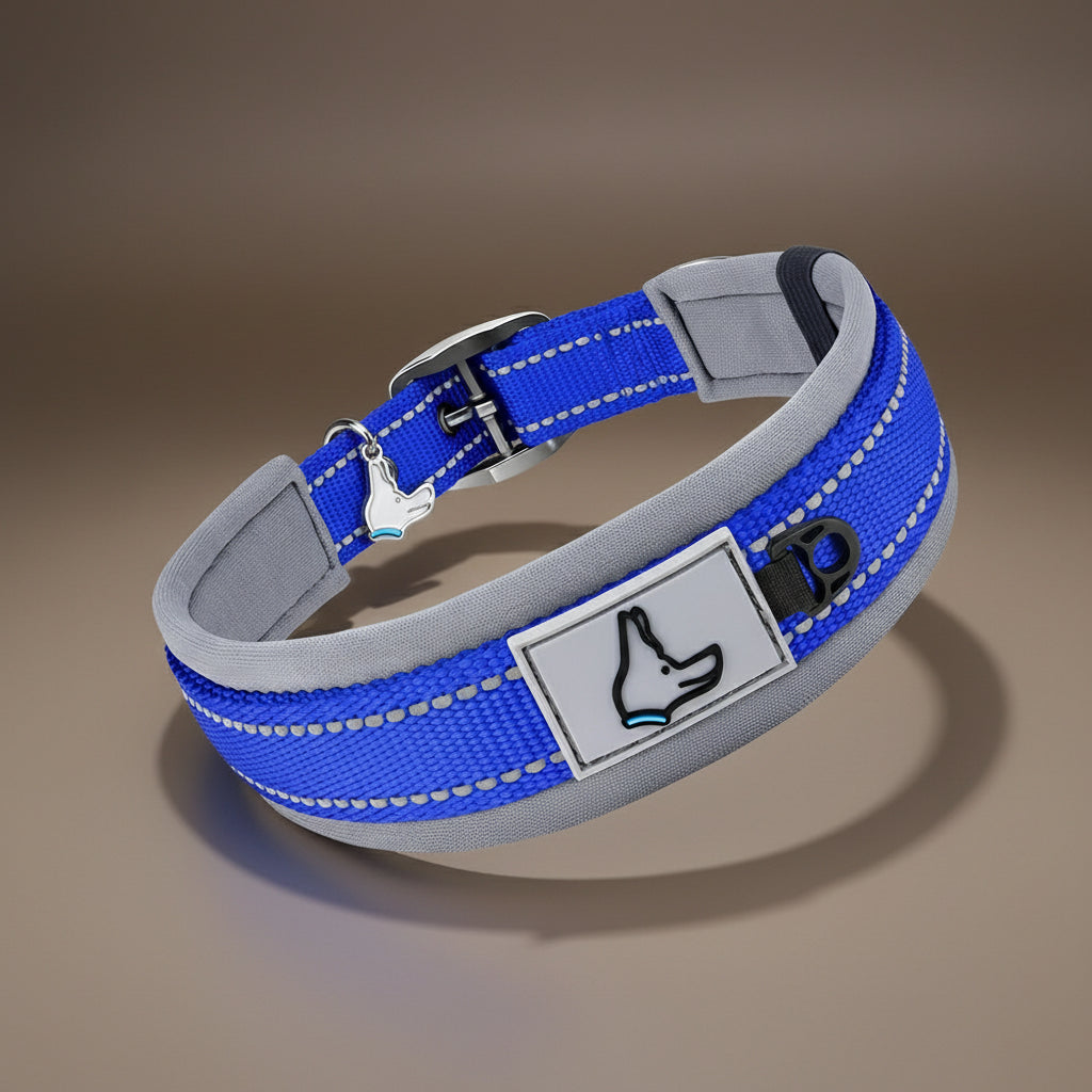 Collier réfléchissant pour chien