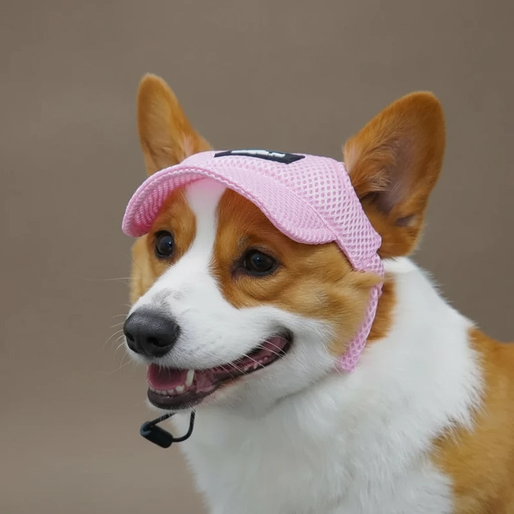 Casquette ajustable pour chien