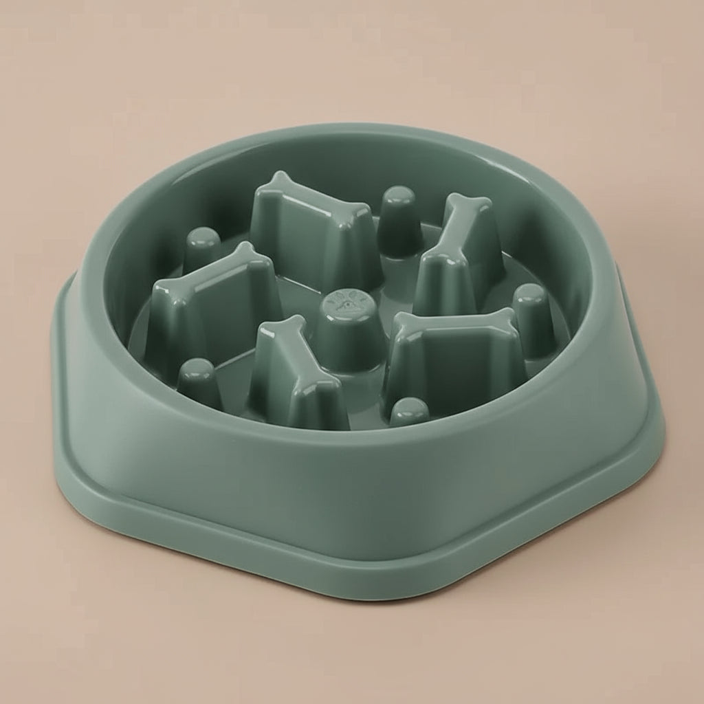 Gamelle anti-glouton pour chien & chat