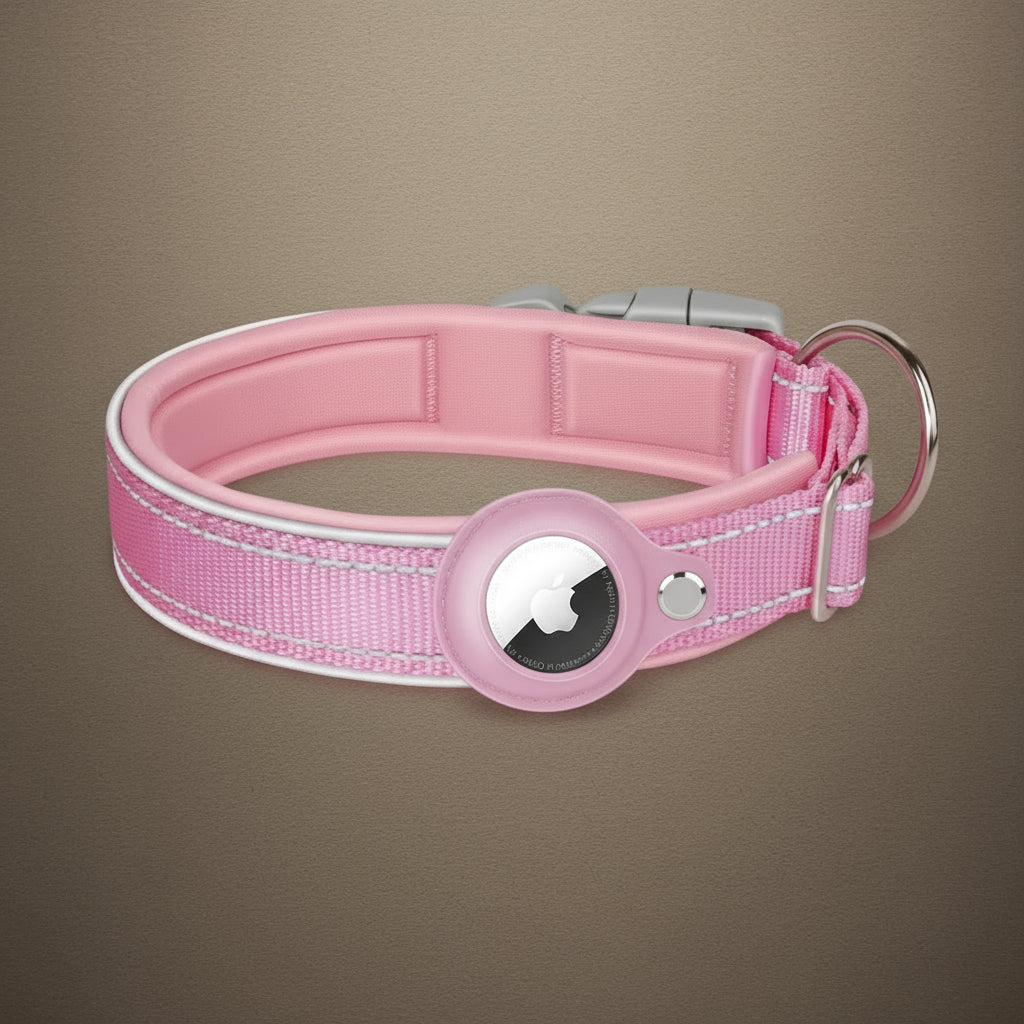 Collier de chien pour AirTag