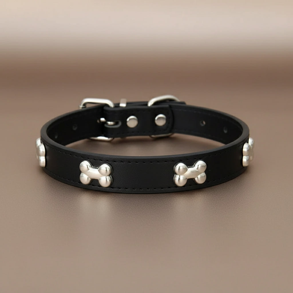 Colliers pour chien en cuir os