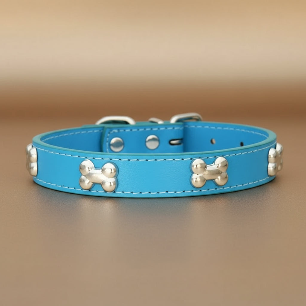 Colliers pour chien en cuir os