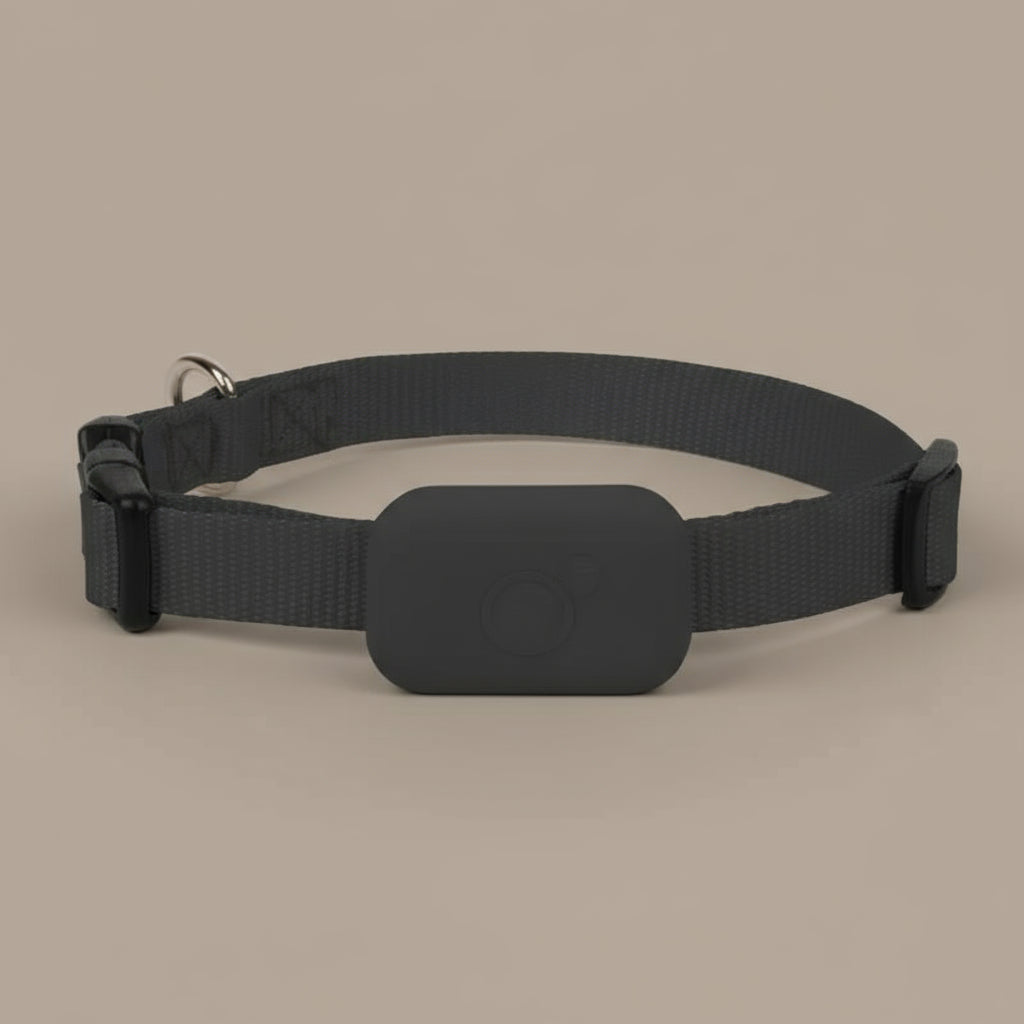 Collier GPS chat - Follow Minou