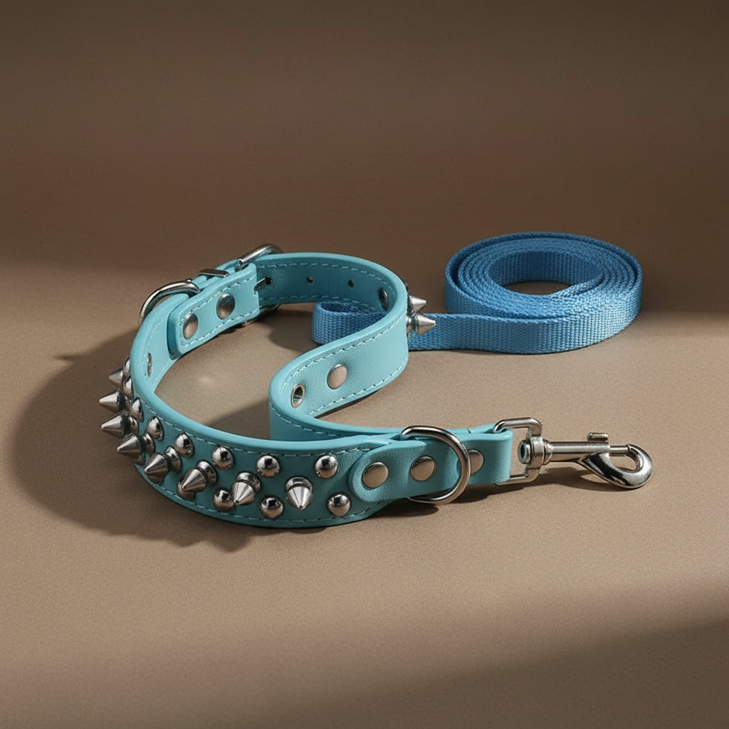 Ensemble collier et laisse pour chien en cuir et à piques