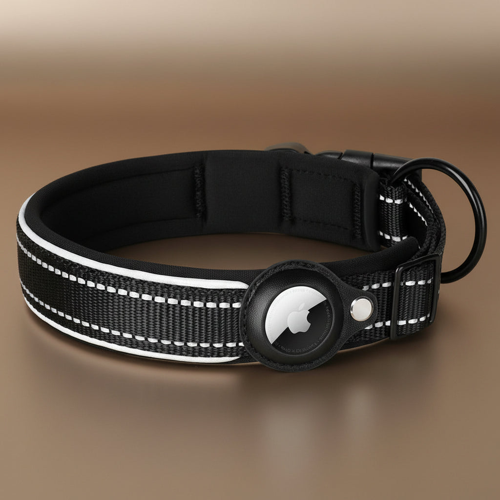 Collier de chien pour AirTag