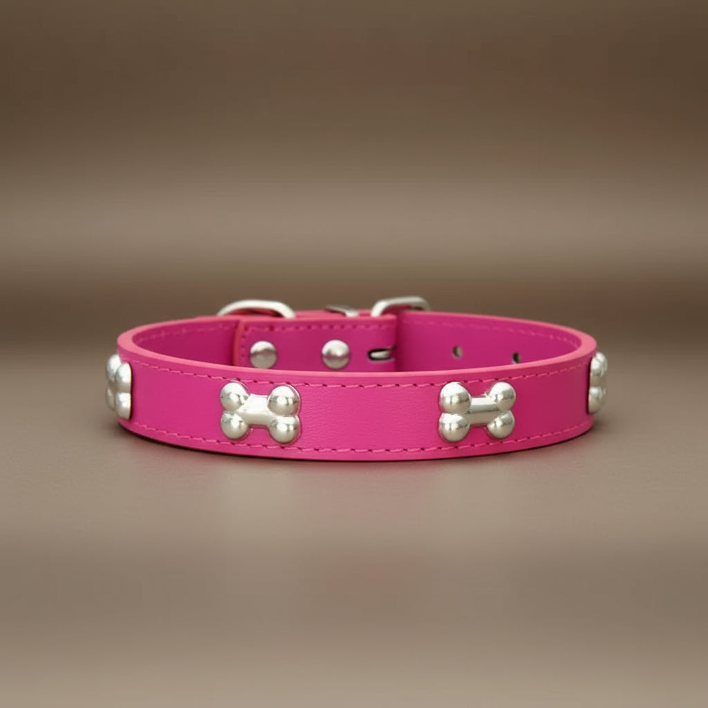 Colliers pour chien en cuir os