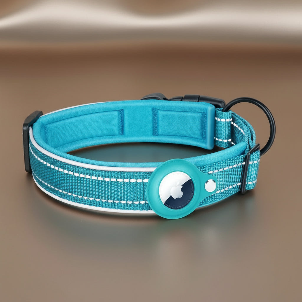 Collier de chien pour AirTag
