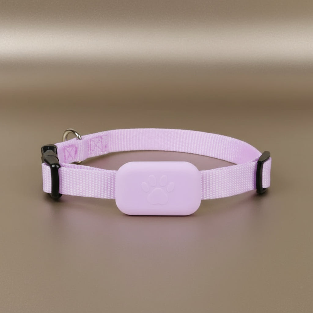 Collier GPS chat - Follow Minou