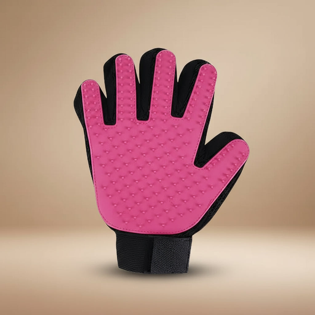 Gant de toilettage pour chat