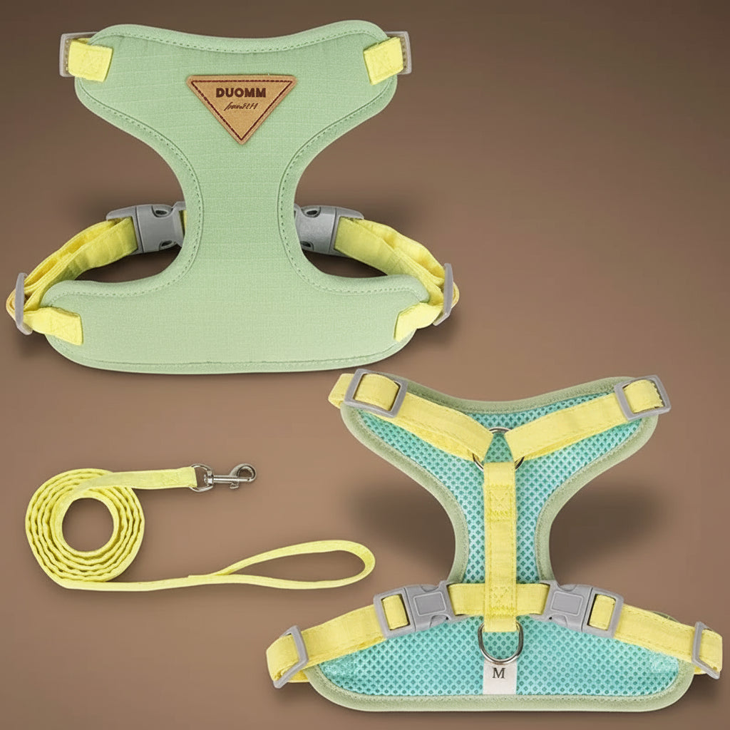 Ensemble harnais et laisse pour chiots