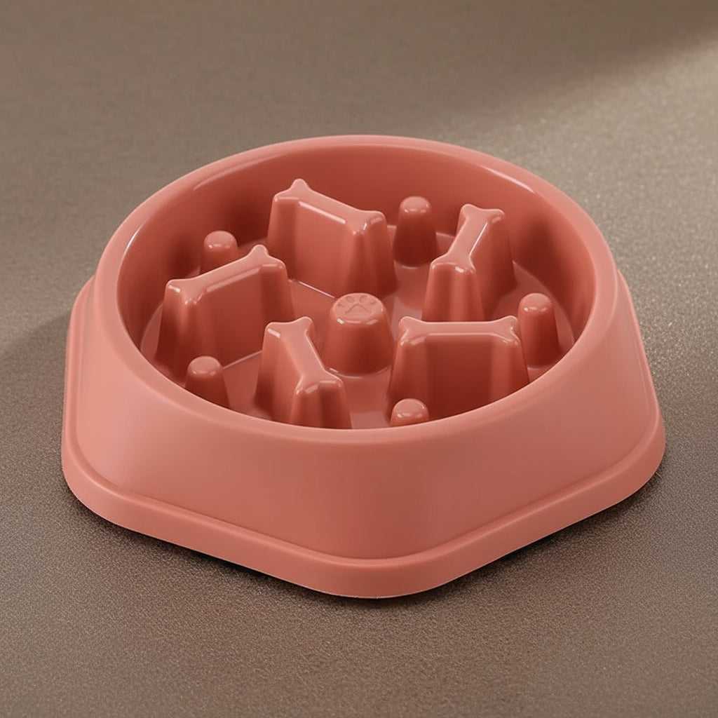 Gamelle anti-glouton pour chien & chat