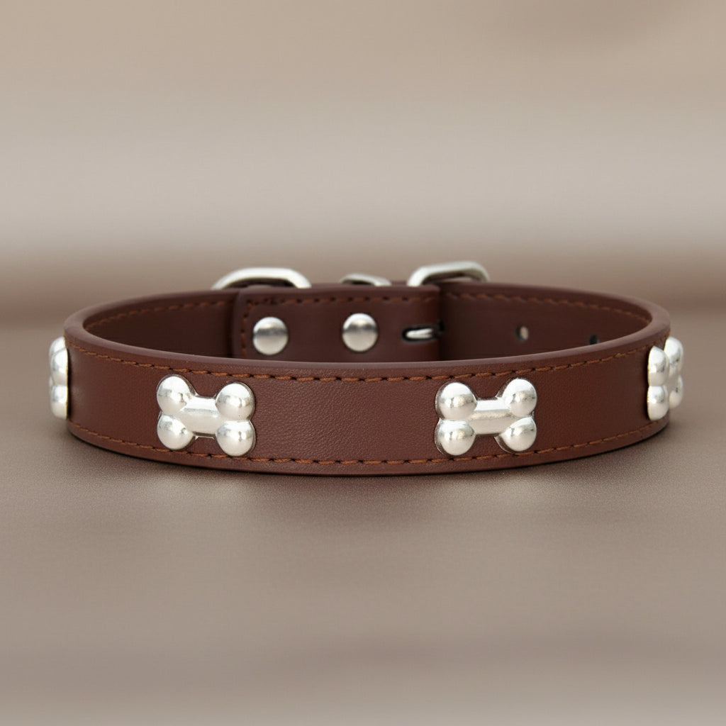 Colliers pour chien en cuir os
