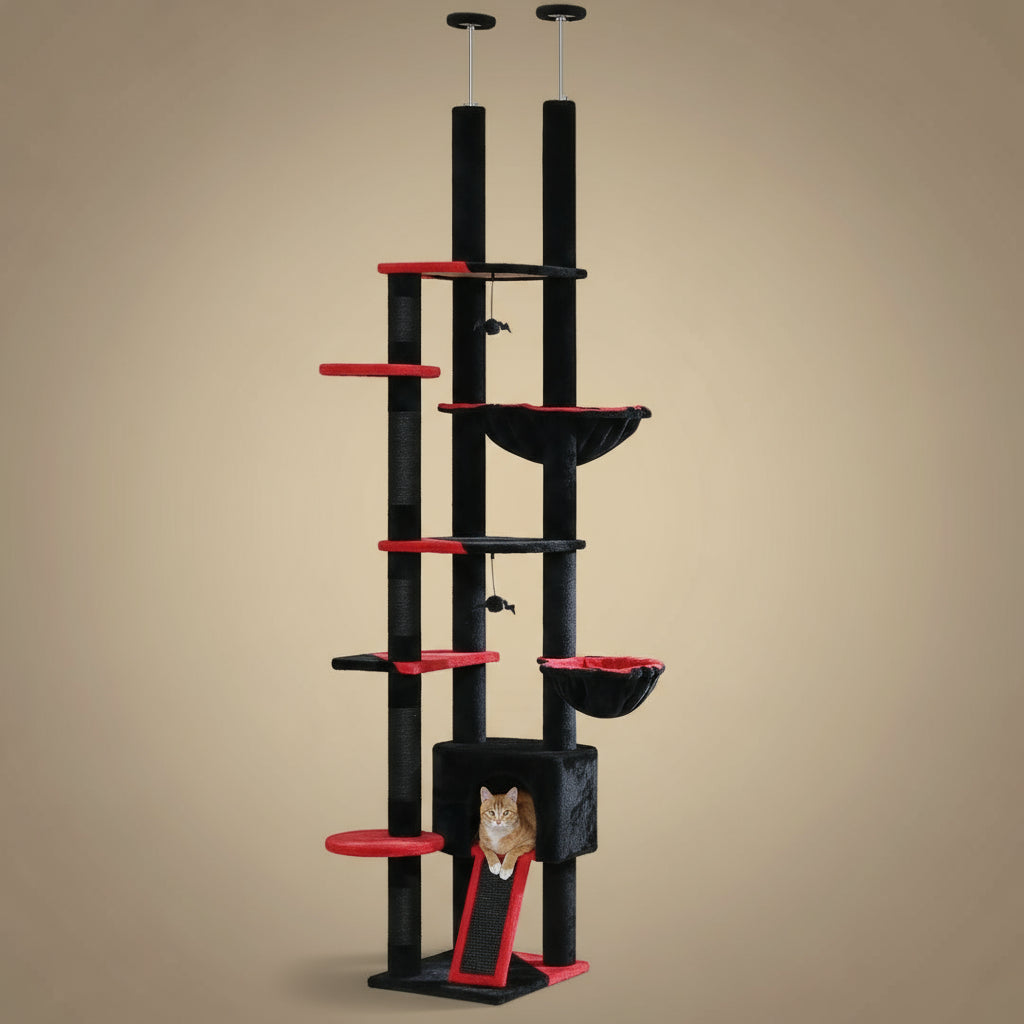 Grand arbre à chat - Simba