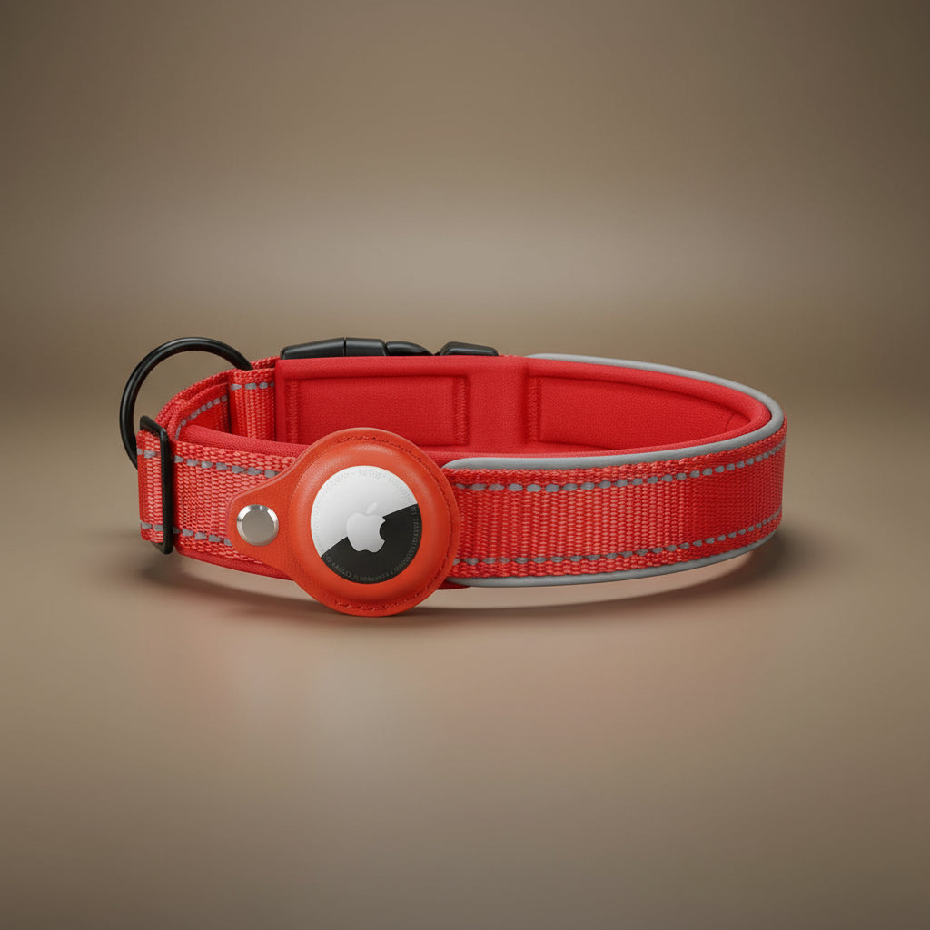 Collier de chien pour AirTag