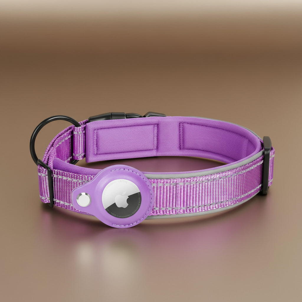 Collier de chien pour AirTag