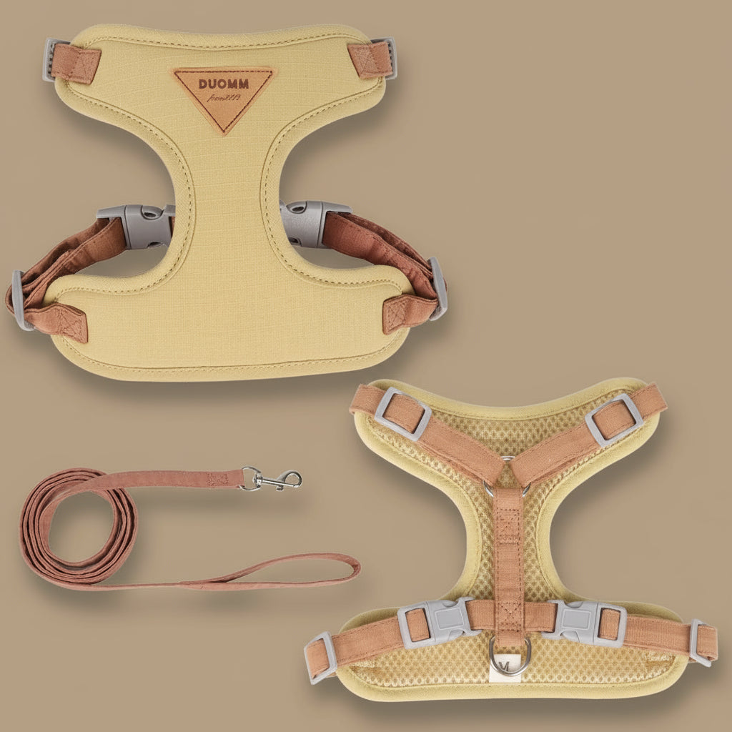 Harnais chat - Coocat