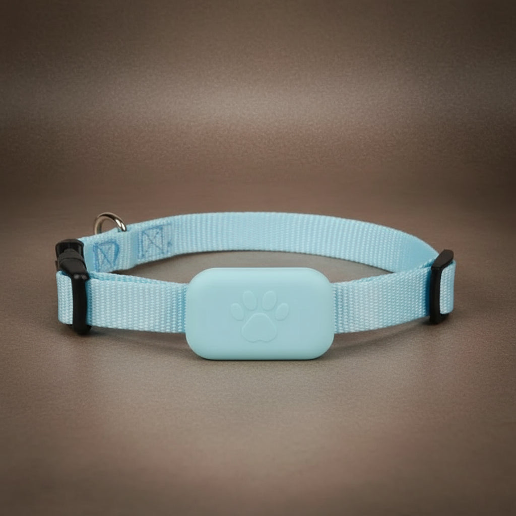 Collier GPS chat - Follow Minou