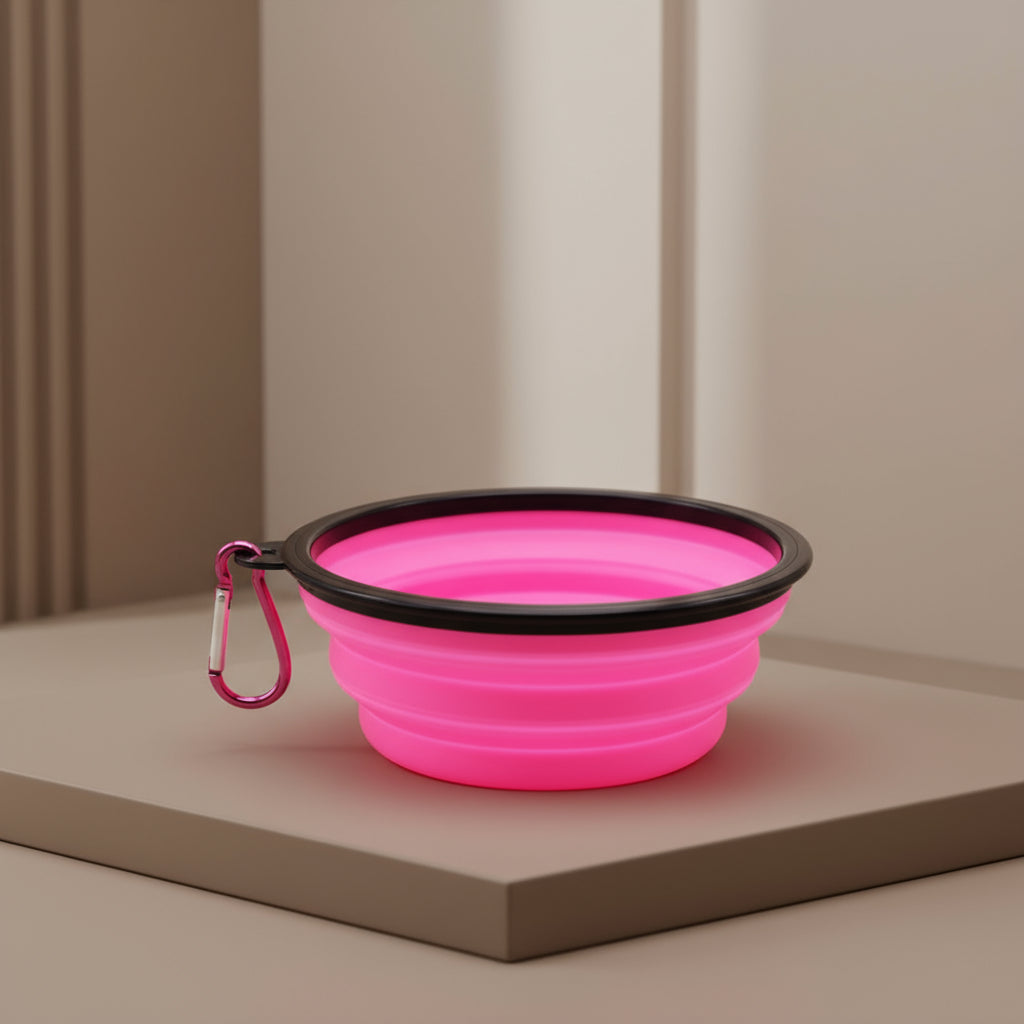 Gamelles portables pour chien multicolores