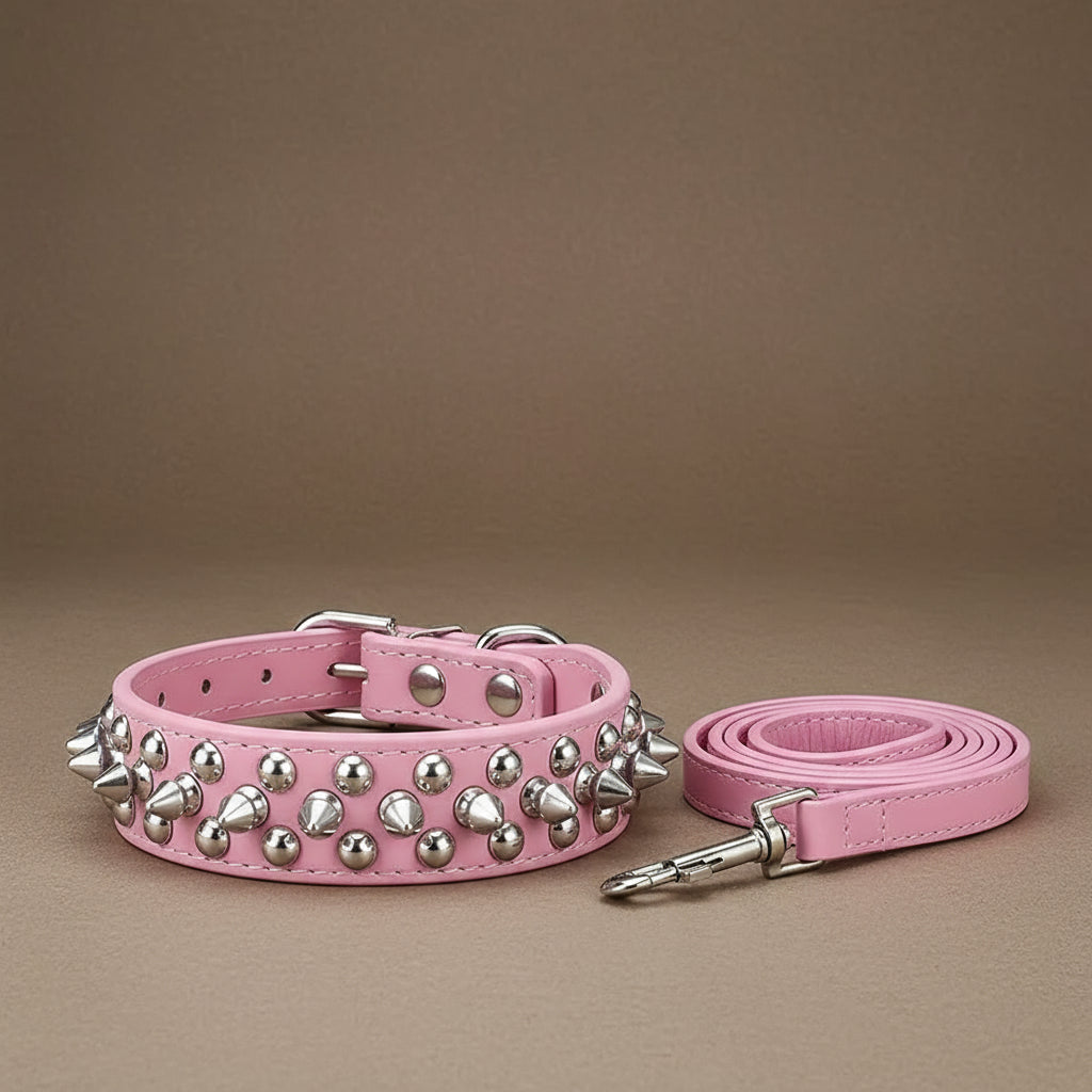 Ensemble collier et laisse pour chien en cuir et à piques