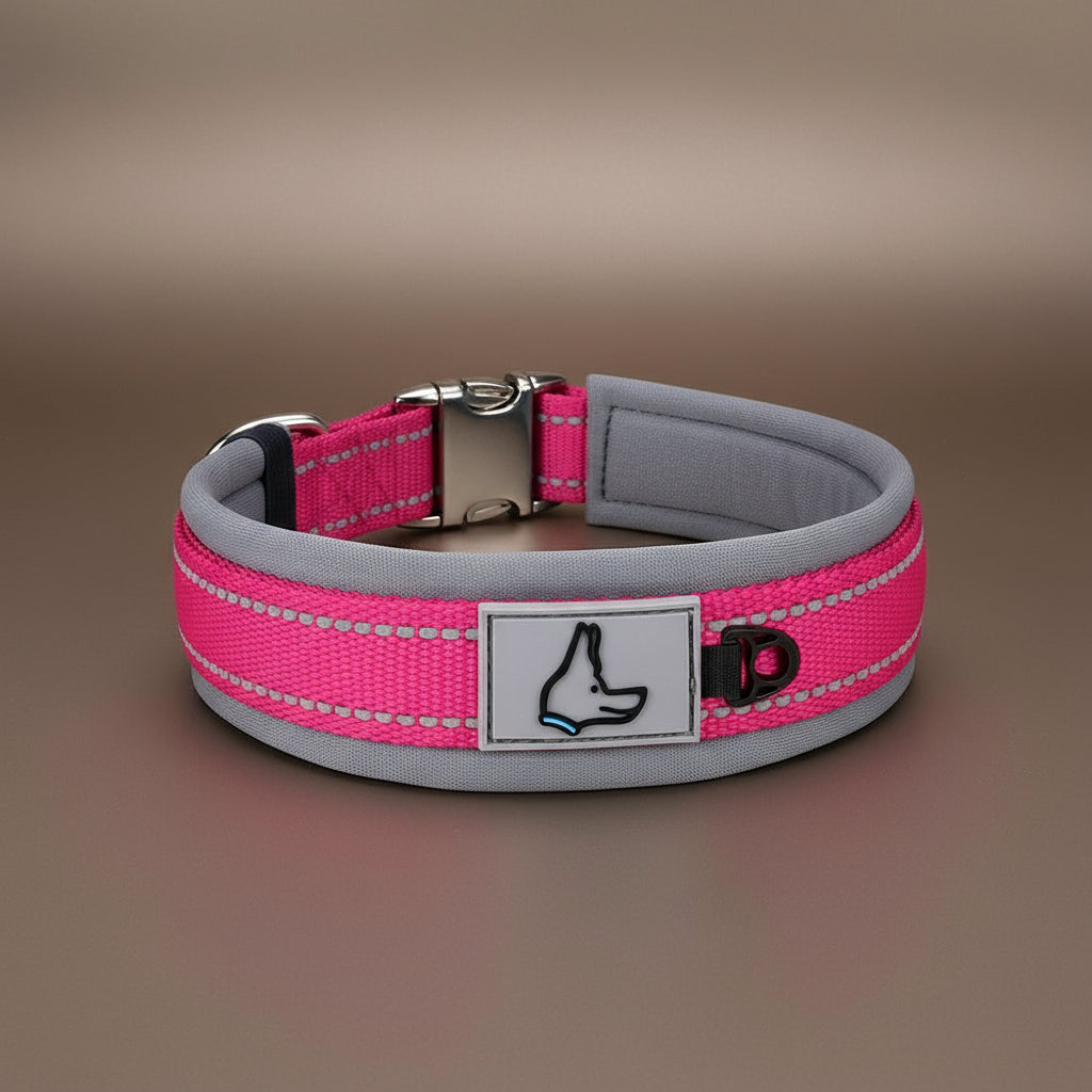Collier réfléchissant pour chien