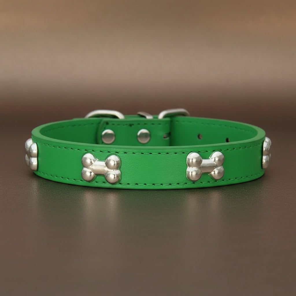 Colliers pour chien en cuir os